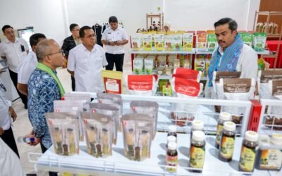 Menteri UMKM Apresiasi Kehadiran NTT Mart sebagai Penggerak Produk Lokal